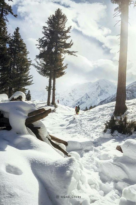 Fairy Meadows